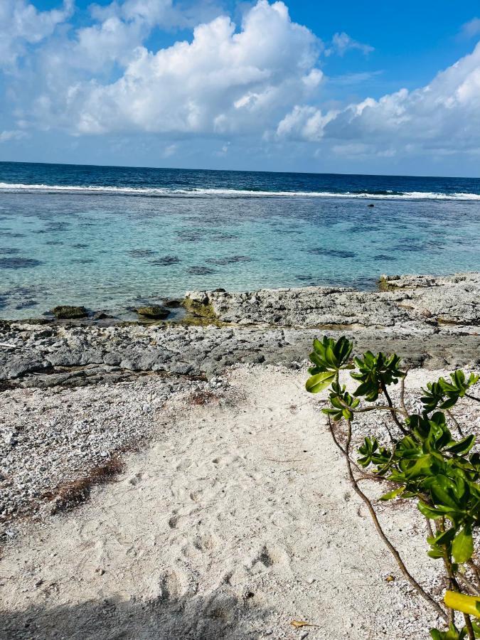 Bungalow Kura موريا المظهر الخارجي الصورة
