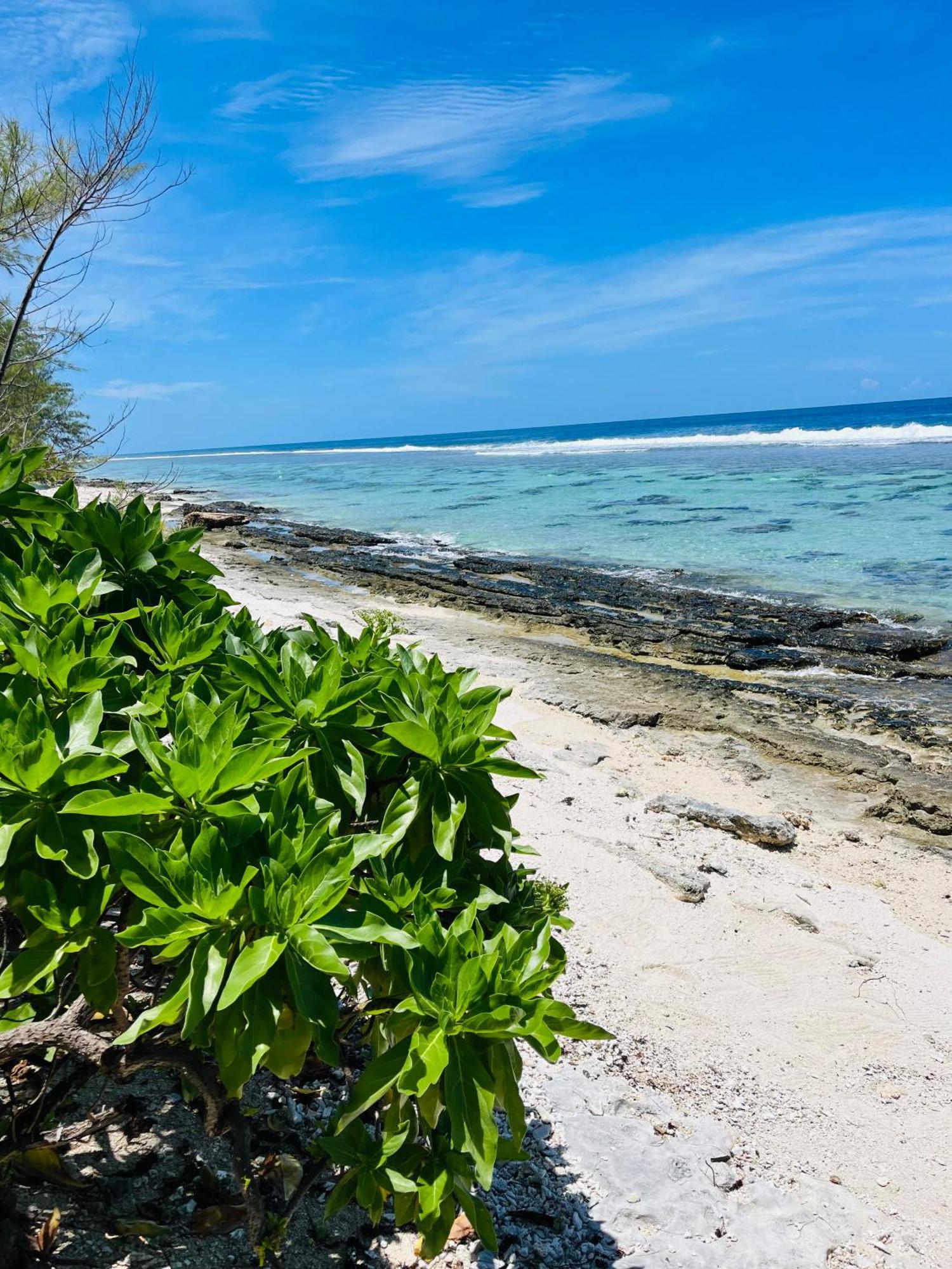 Bungalow Kura موريا المظهر الخارجي الصورة